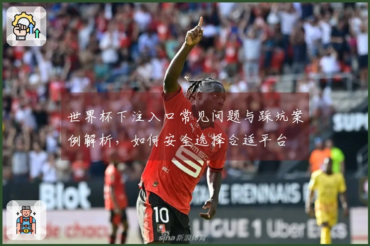 世界杯下注入口常见问题与踩坑案例解析，如何安全选择合适平台