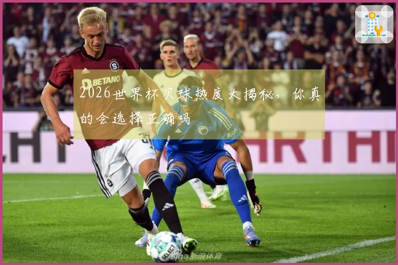 2026世界杯买球热度大揭秘，你真的会选择正确吗