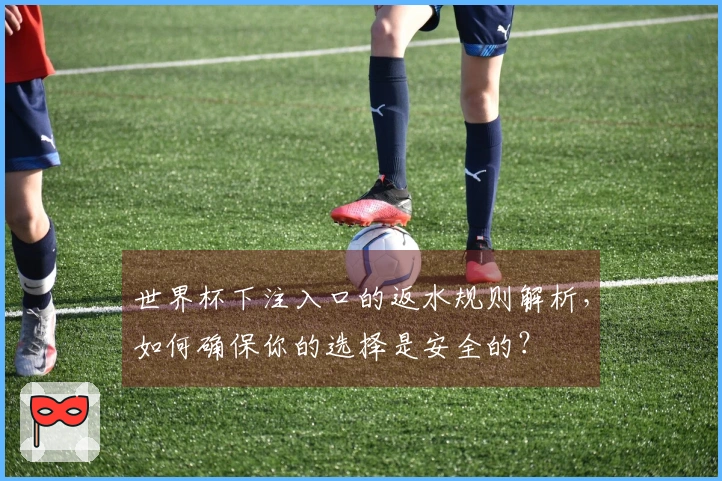 世界杯下注入口的返水规则解析，如何确保你的选择是安全的？