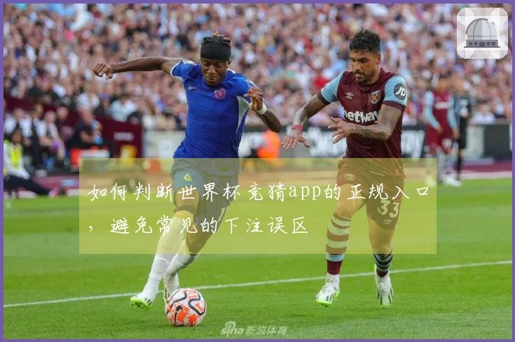如何判断世界杯竞猜app的正规入口，避免常见的下注误区