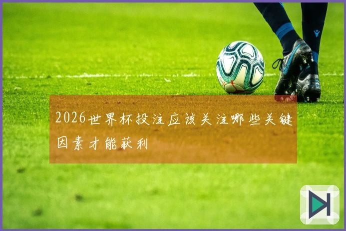 2026世界杯投注应该关注哪些关键因素才能获利