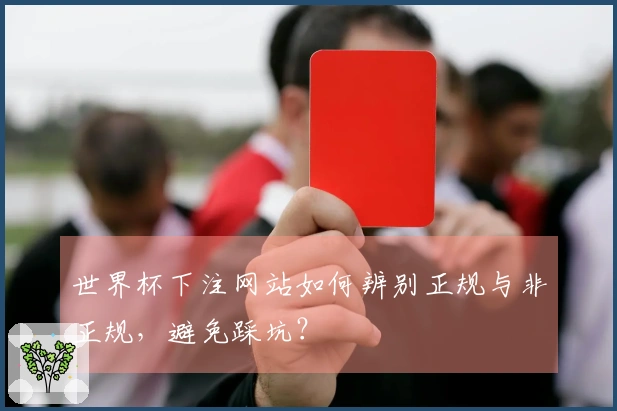 世界杯下注网站如何辨别正规与非正规，避免踩坑？
