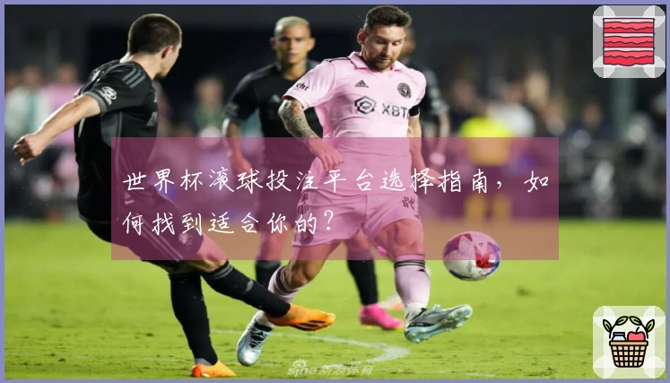 世界杯滚球投注平台选择指南，如何找到适合你的？