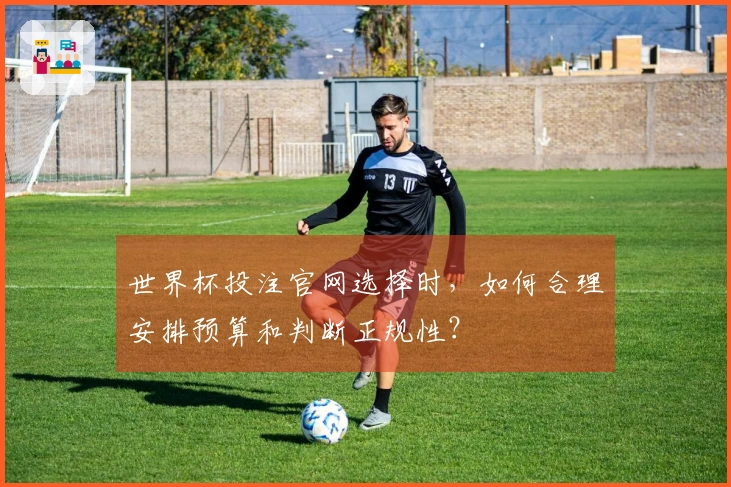 世界杯投注官网选择时，如何合理安排预算和判断正规性？