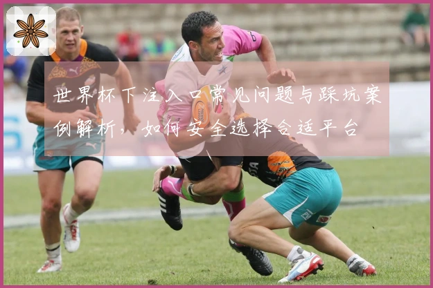 世界杯下注入口常见问题与踩坑案例解析，如何安全选择合适平台