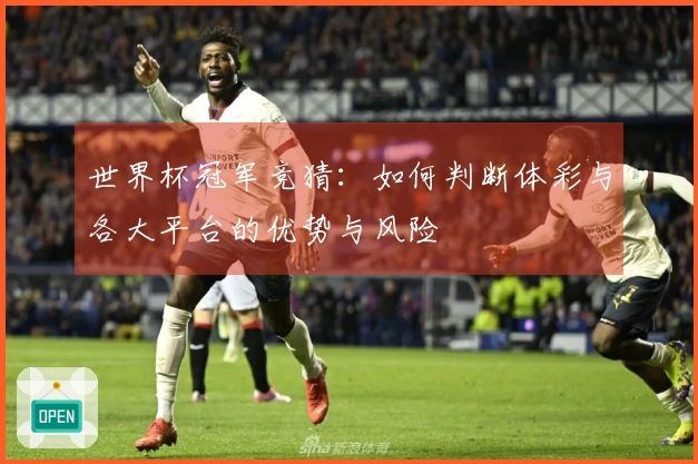 世界杯冠军竞猜：如何判断体彩与各大平台的优势与风险