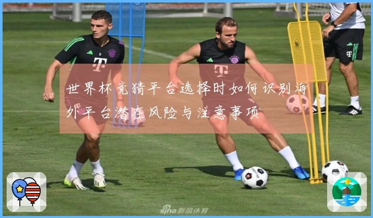 世界杯竞猜平台选择时如何识别海外平台潜在风险与注意事项
