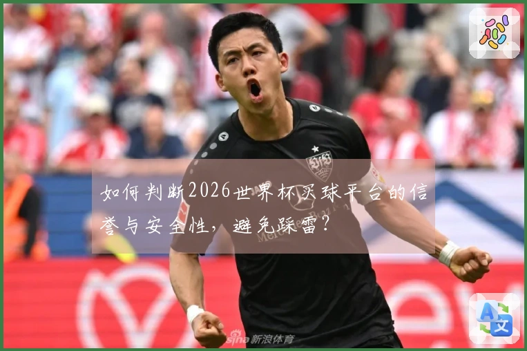 如何判断2026世界杯买球平台的信誉与安全性，避免踩雷？