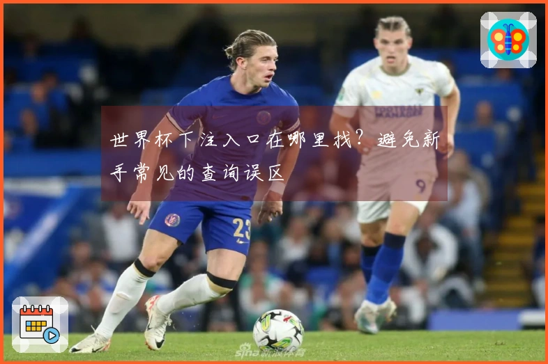 世界杯下注入口在哪里找？避免新手常见的查询误区