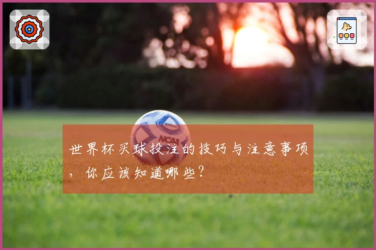 世界杯买球投注的技巧与注意事项，你应该知道哪些？