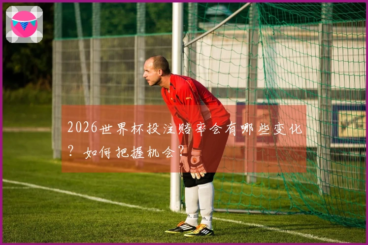 2026世界杯投注赔率会有哪些变化？如何把握机会？