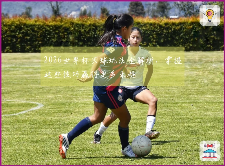 2026世界杯买球玩法全解析，掌握这些技巧赢得更多乐趣