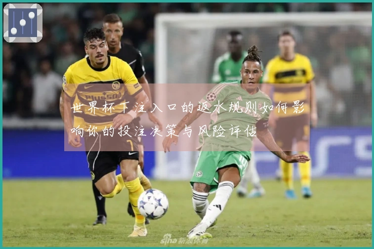 世界杯下注入口的返水规则如何影响你的投注决策与风险评估