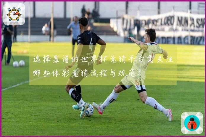 选择靠谱的世界杯竞猜平台需关注哪些体彩竞猜流程与规范？