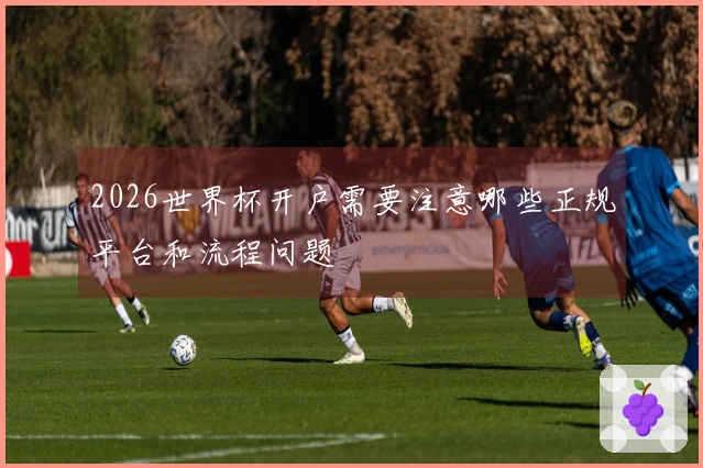 2026世界杯开户需要注意哪些正规平台和流程问题