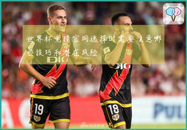 世界杯竞猜官网选择时需要注意哪些技巧和潜在风险