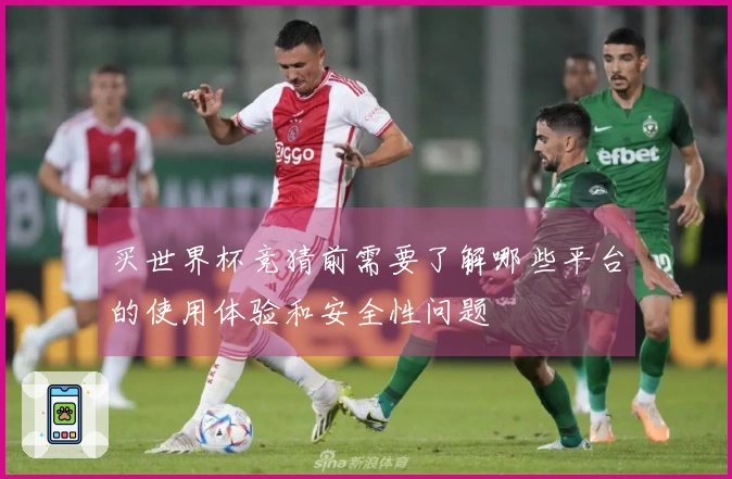 买世界杯竞猜前需要了解哪些平台的使用体验和安全性问题