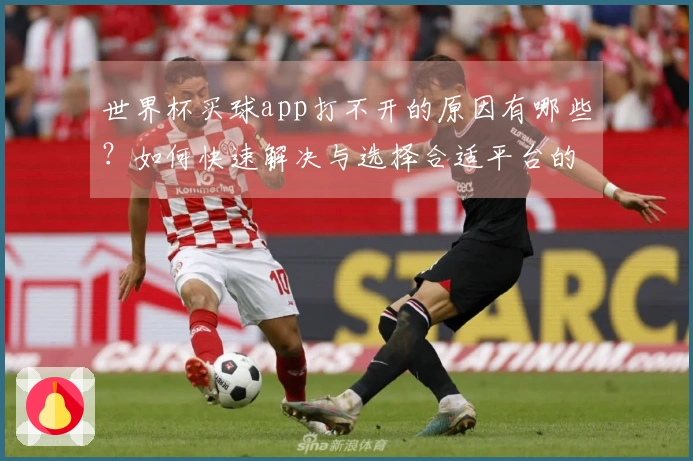 世界杯买球app打不开的原因有哪些？如何快速解决与选择合适平台的对比分析