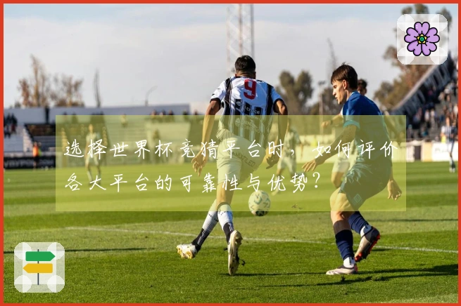 选择世界杯竞猜平台时，如何评价各大平台的可靠性与优势？