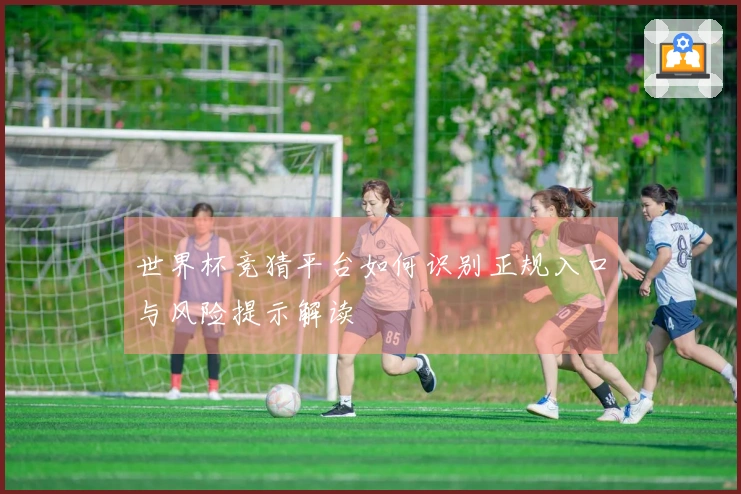 世界杯竞猜平台如何识别正规入口与风险提示解读