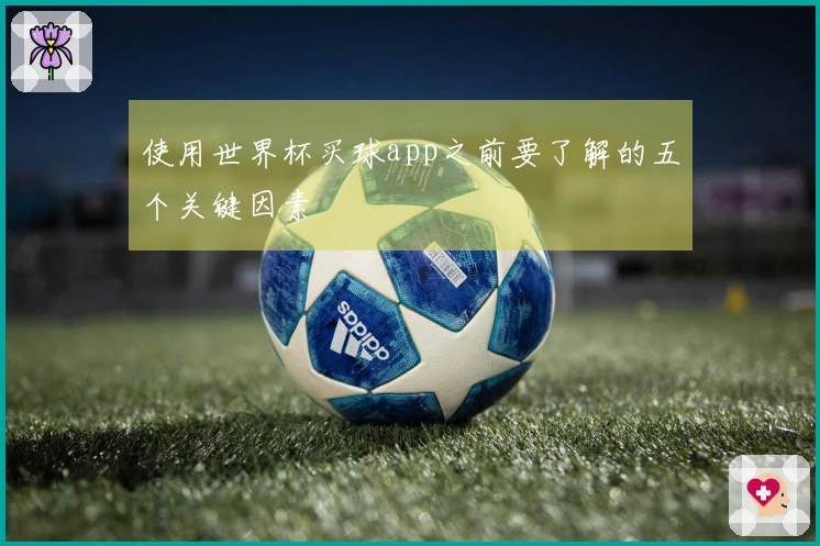 使用世界杯买球app之前要了解的五个关键因素