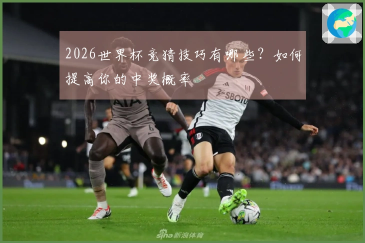 2026世界杯竞猜技巧有哪些？如何提高你的中奖概率