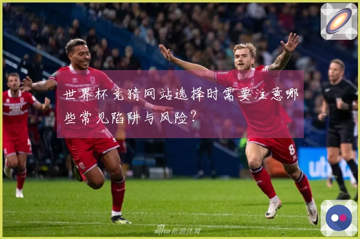 世界杯竞猜网站选择时需要注意哪些常见陷阱与风险？