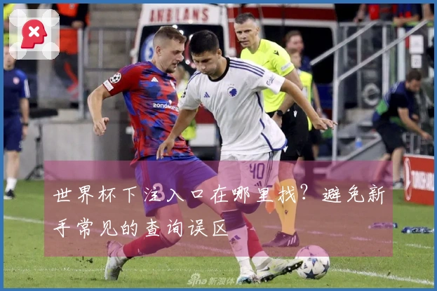世界杯下注入口在哪里找？避免新手常见的查询误区