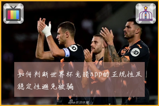 如何判断世界杯竞猜app的正规性及稳定性避免被骗