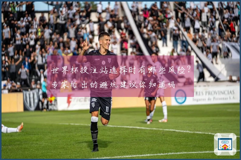 世界杯投注站选择时有哪些风险？专家给出的避坑建议你知道吗