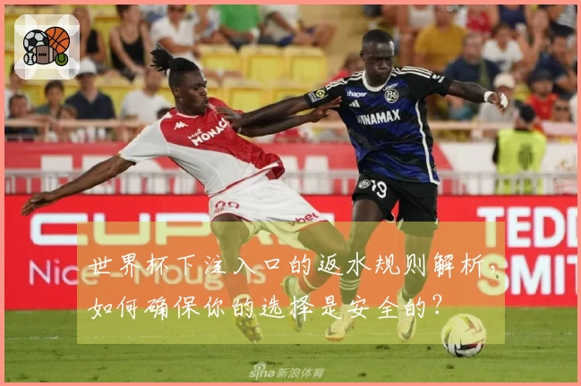 世界杯下注入口的返水规则解析，如何确保你的选择是安全的？