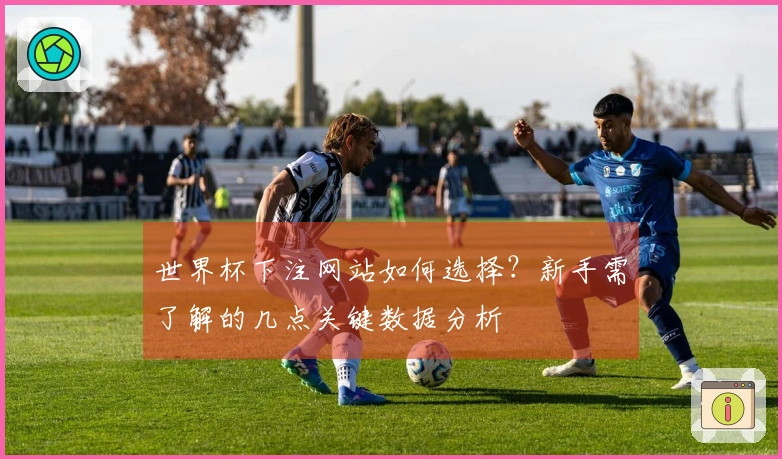 世界杯下注网站如何选择？新手需了解的几点关键数据分析