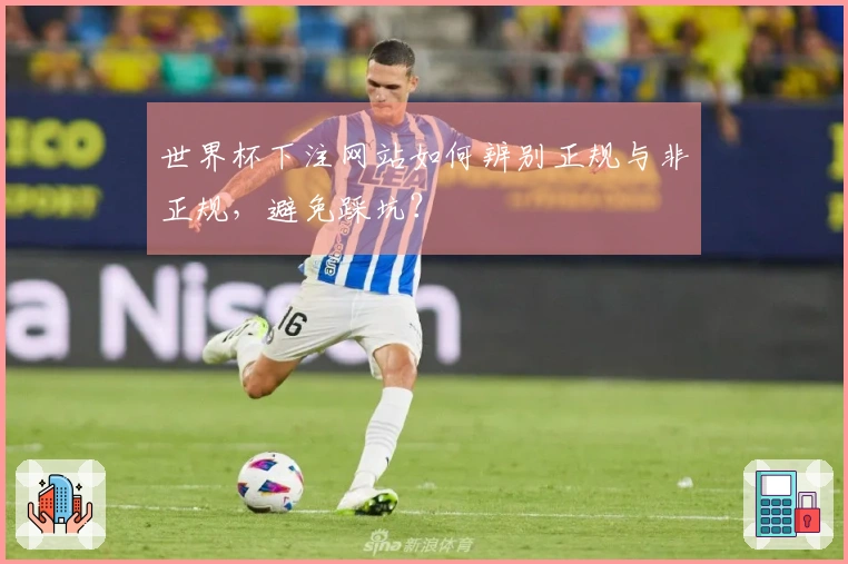世界杯下注网站如何辨别正规与非正规，避免踩坑？