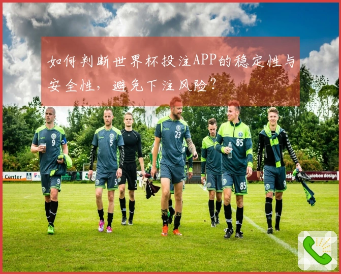 如何判断世界杯投注APP的稳定性与安全性，避免下注风险？
